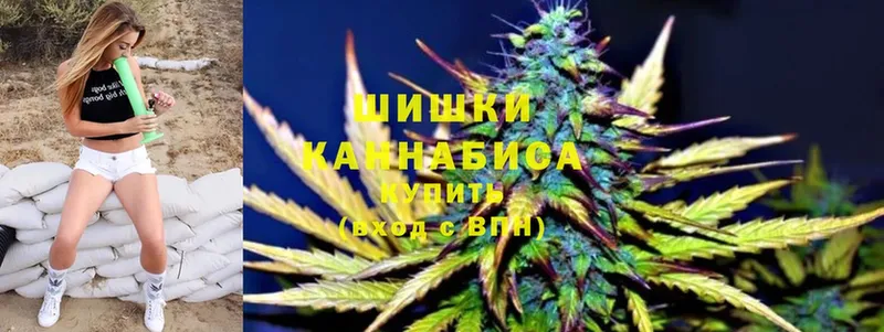 Конопля OG Kush  как найти закладки  Армянск 